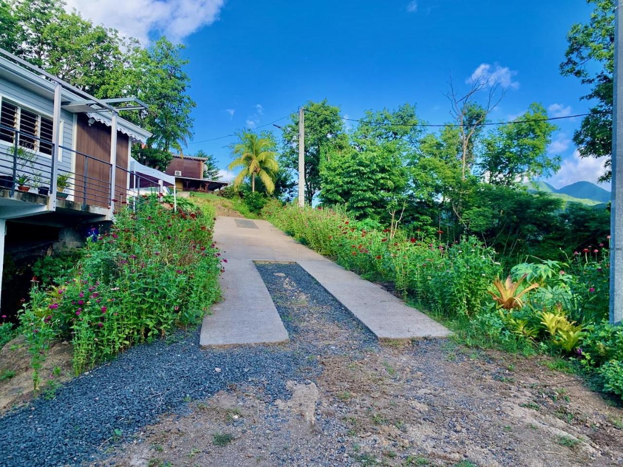 Les Gites De La Reserve Bouillante Exterior photo